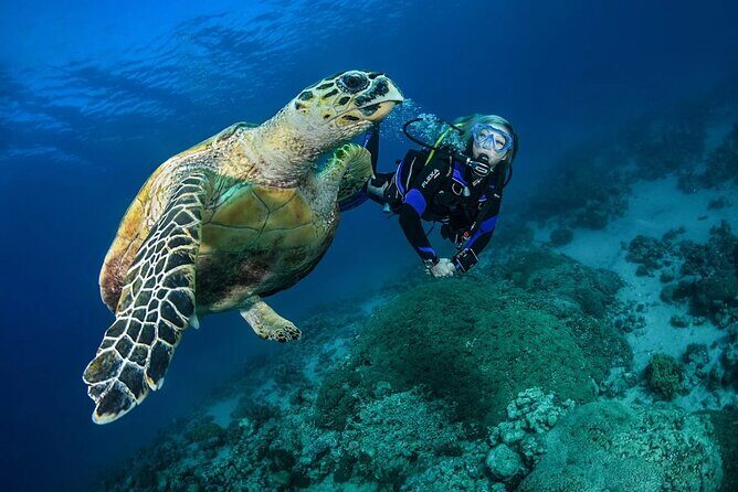 Snorkel, Swim & Snap-w/ Video - A tight, private run through Puerto Rico’s southeast