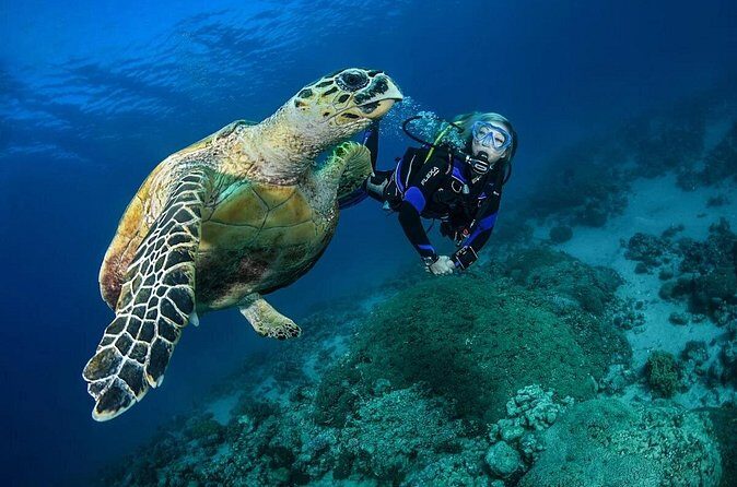 Snorkel, Swim & Snap-w/ Video - The lesson and equipment that make or break snorkeling