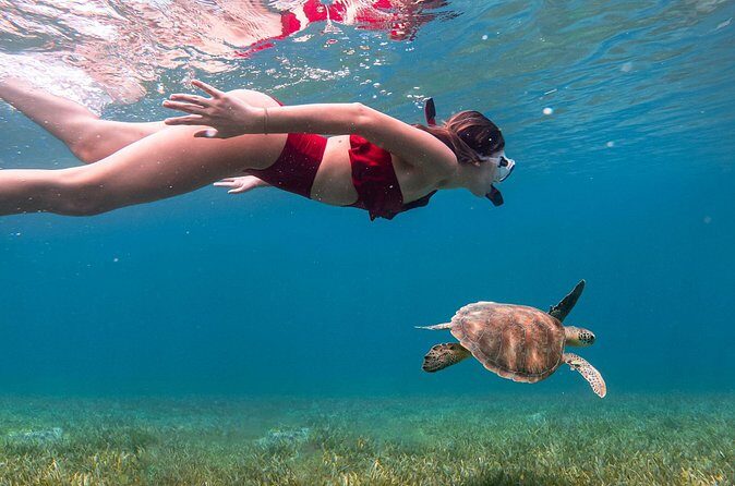 Snorkel, Swim & Snap-w/ Video - Yabucoa mountain views: the scenic reason for the drive