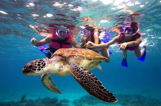 Snorkel, Swim & Snap-w/ Video - Price and logistics: is $95 good value?