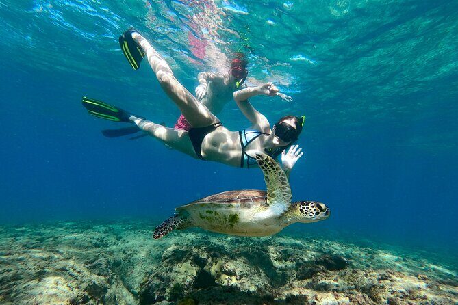 Snorkeling Adventure in Aguadilla - Key things to know before you go