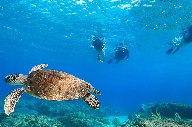 Snorkeling Adventure in Aguadilla - Where you meet and how to plan your morning