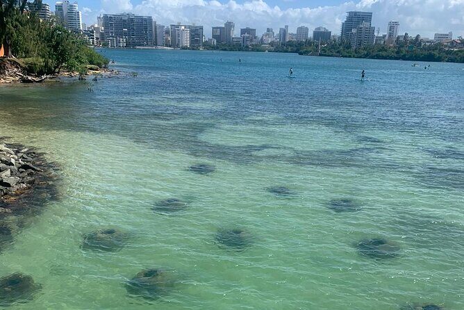Snorkeling Guided Tour Experience in Condado Lagoon - Key things that make this Condado Lagoon snorkel tour worth your time