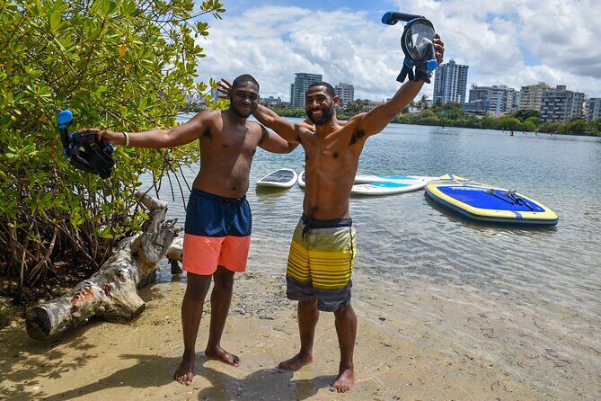 Snorkeling Guided Tour Experience in Condado Lagoon - What you might see: manatees, sea turtles, fish, and sea stars (with realistic expectations)