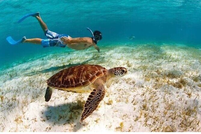 Snorkeling in Paradise - Videos Included - Escambron Beach Check-In: Easy Start, Real-World Logistics