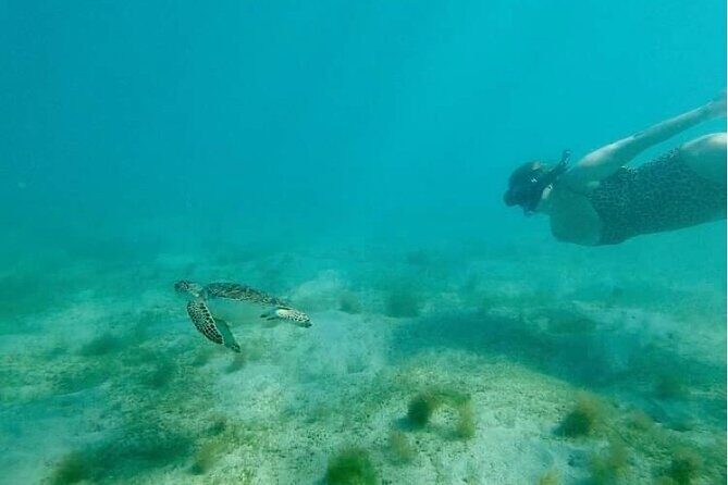 Snorkeling in Paradise - Videos Included - Getting Comfortable in the Water: Pace That Works for Beginners