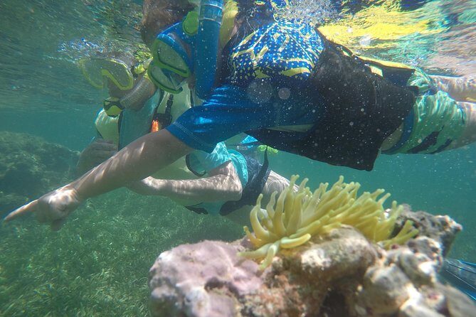 Snorkeling & Kayak Eco-Adventure in Puerto Rico - Why Fajardo’s Las Cabezas de San Juan is a smart eco-day