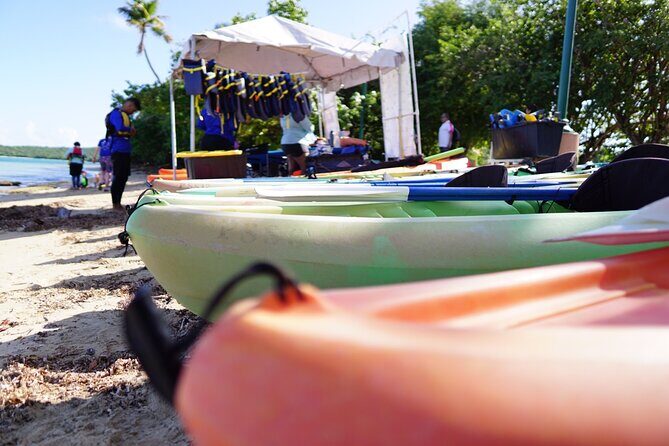 Snorkeling & Kayak Eco-Adventure in Puerto Rico - Who this tour suits best (and who should think twice)