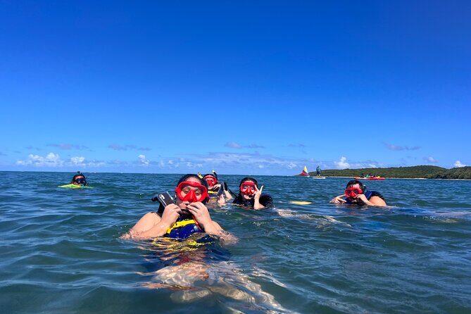 Snorkeling & Kayak Eco-Adventure in Puerto Rico - Common hiccups to plan for: late check-in and rough seas
