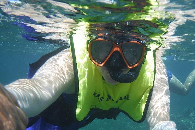 Snorkeling Lesson & Interactive Experience for Kids and Adults - Marine life you’ll actually look for in the Cabezas de San Juan reef