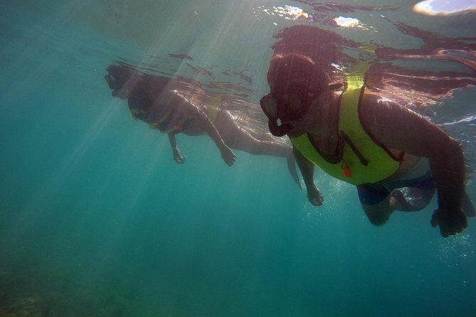 Snorkeling Lesson & Interactive Experience for Kids and Adults - Price and value: is $58 per person a fair deal?
