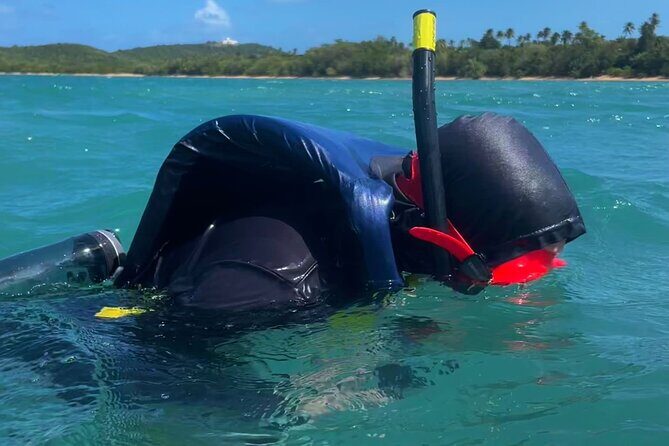 Snorkeling Lesson & Interactive Experience for Kids and Adults - Who this is best for (and what to consider if you have limits)