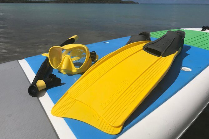 Snorkeling Lesson & Interactive Experience for Kids and Adults - Why the small group (and patient guides) matters