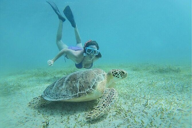 Snorkeling Tour to Vieques Island only 30 minutes away! - Ceiba to Vieques: The Quick Boat Hop That Makes This Feel Easy