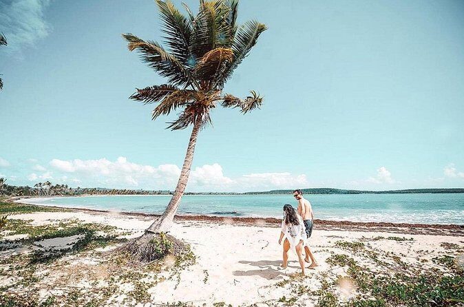 Snorkeling Tour to Vieques Island only 30 minutes away! - Wildlife Time: Sea Turtles, Rays, Fish, and Sometimes Manatees