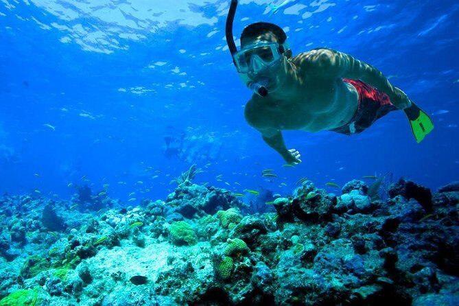 Snorkeling Tour to Vieques Island only 30 minutes away! - Beach Breaks and Coastal Scenery: More Than Just One Jump-In
