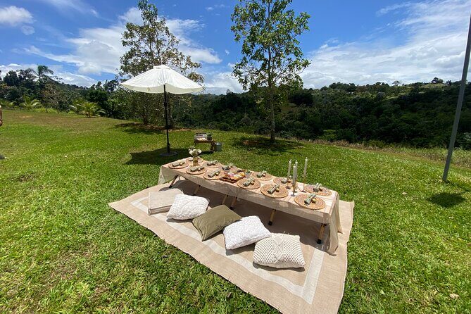 Tailor Made Luxury Picnic with Breathtaking Views - Small Logistics That Matter More Than You Think