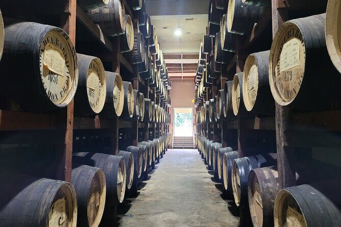 The Barrilito Rum Factory Experience Transportation Included - Key Highlights Worth Your Time