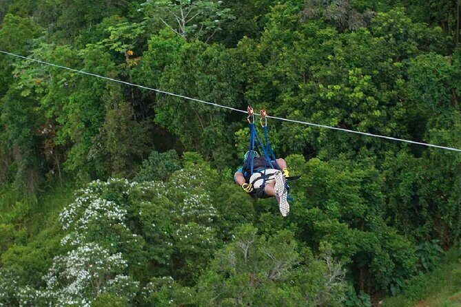 The Beast Zipline at Toroverde Adventure Park in Puerto Rico - Check-in, gear-up, and the safety briefing that sets the tone