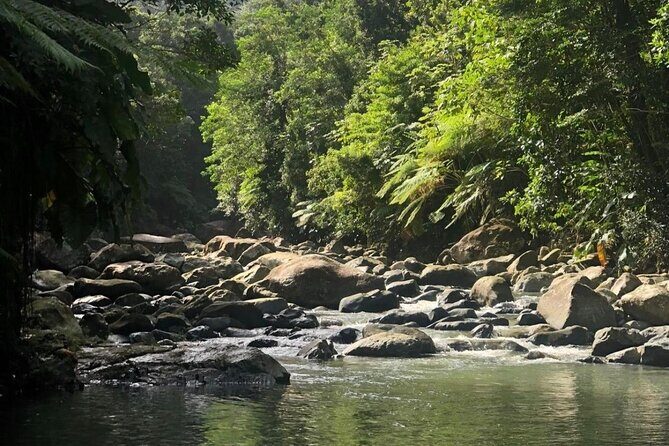 The Best Rainforest Experience in Puerto Rico - Key Things to Know Before You Go