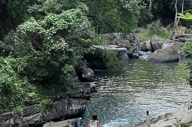 The Best Rainforest Experience in Puerto Rico - Why the Guide (Alex) Changes the Whole Day