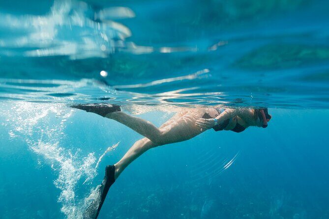 Tobias Icacos Half Day Tour - Stop 2: coral reef snorkeling plus the onboard lunch break