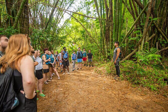 Top Rated El Yunque Rainforest & Waterslide – SmallGroup Tour - The guide’s role: safety, confidence, and real local details