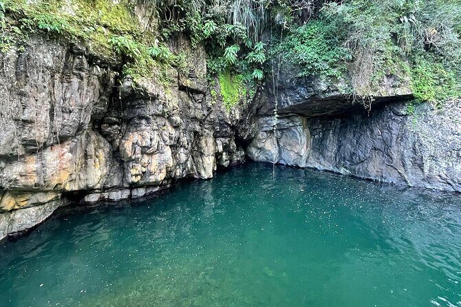 Toro Negro River Hike & Cliff Jumping Adventure; San Juan Pick Up - Toro Negro: the San Juan day trip that feels far away fast