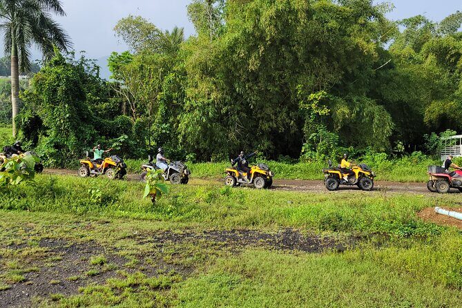 Transfer from San Juan to Ceiba Ferry or Ceiba to San Juan - Who This Transfer Fits Best