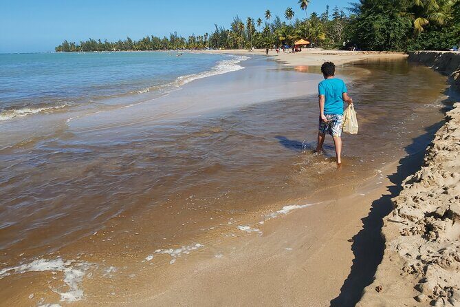 Transportation from San Juan to Ceiba ferry or airport - Price and value: $160 per group up to five