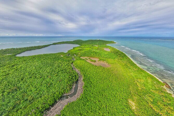 Trio Tour: El Yunque, Luquillo Beach, and Bio Bay Night Kayaking - Laguna Grande Bio Bay: Night Kayaking in Mangroves After Dark