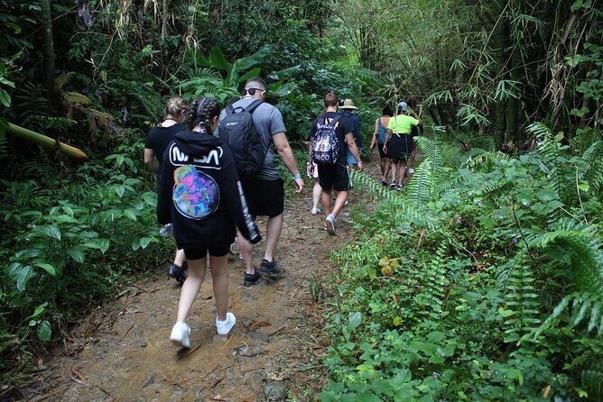 Trio Tour: El Yunque, Luquillo Beach, and Bio Bay Night Kayaking - Who This Tour Fits Best (and Who Should Skip It)