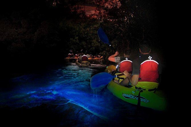 Two-in-One Day Trip: El Yunque and Bio Bay Tour with Transport - Key things to know before you go