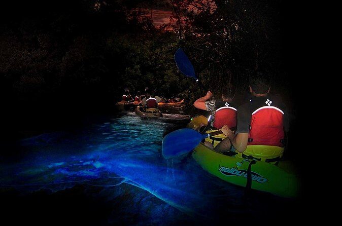 Two-in-One Day Trip: El Yunque and Bio Bay Tour with Transport - Guides, safety gear, and why you’ll feel more confident in the water