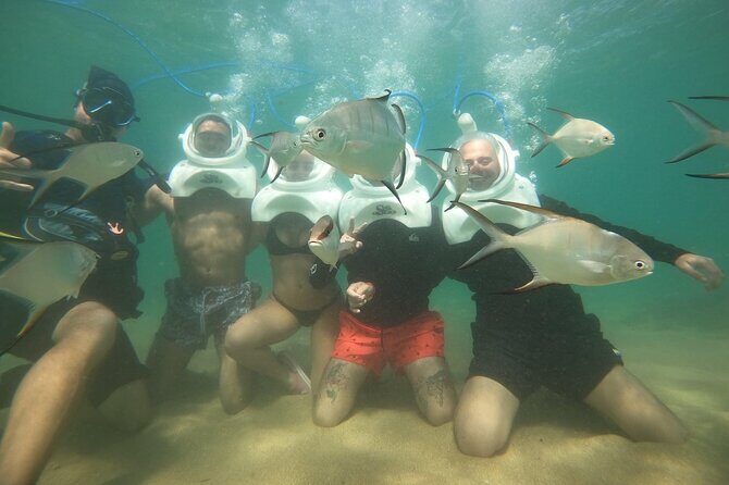 Underwater Sea Trek in San Juan: Explore Beneath the Waves - The Underwater Walk: What You Actually See