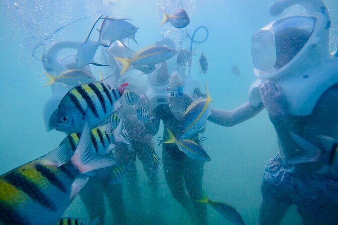 Underwater Sea Trek in San Juan: Explore Beneath the Waves - Who This Is Perfect For (and Who Should Rethink It)