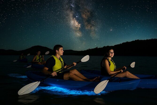 Unforgettable One Day Bioluminescent Kayak Adventure in Vieques - Key Points to Know Before You Go
