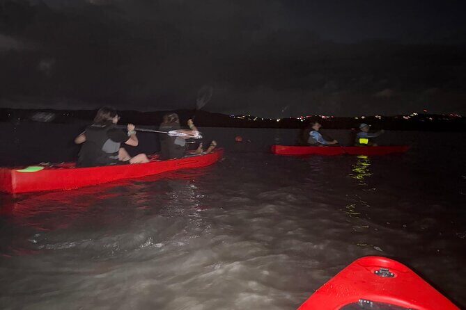Unforgettable One Day Bioluminescent Kayak Adventure in Vieques - Guides and Safety: Why the Experience Feels Managed
