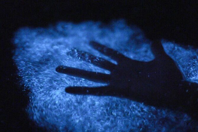 Unforgettable One Day Bioluminescent Kayak Adventure in Vieques - What to Wear and Bring So You Actually Enjoy It
