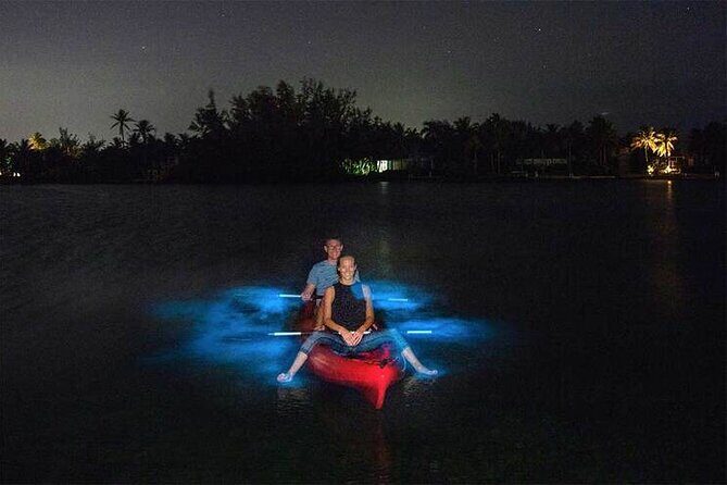 Unforgettable One Day Bioluminescent Kayak Adventure in Vieques - The Flow of the One-and-a-Half-Hour Kayak Session