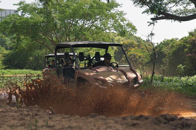 UTV adventure in Naguabo Puerto Rico 50 minutes trip 80 acres - The Meeting Point Experience: More Than Just a Drop-Off