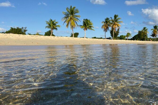 Vieques Bio Bay Tour and Beach Day Trip from San Juan by Ferry - A one-day hit of Mosquito Bay from San Juan