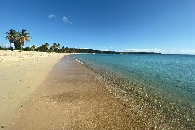 Vieques Bio Bay Tour and Beach Day Trip from San Juan by Ferry - How long is this day, and how to handle the travel fatigue