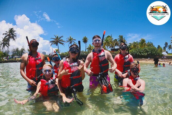 VIP San Juan: Snorkeling Tour with Turtles with Free Videos - Key Points You’ll Care About