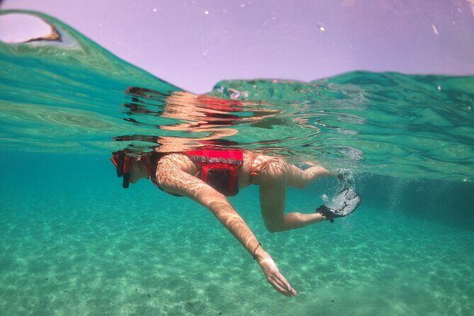 VIP San Juan: Snorkeling Tour with Turtles with Free Videos - Crowds, Conditions, and the One Thing That Can Affect Your Photos