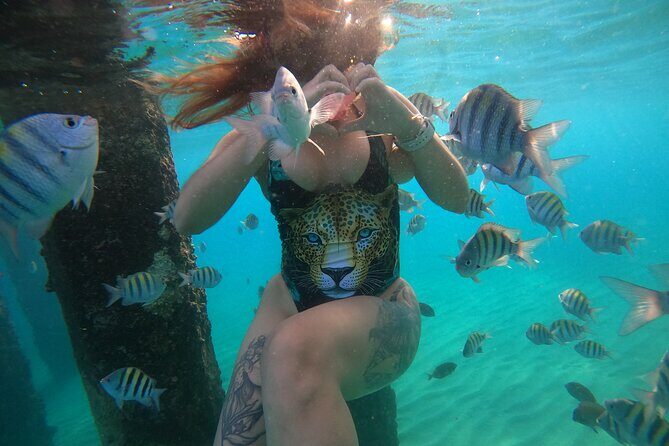 VIP San Juan: Snorkeling Tour with Turtles with Free Videos - Gear, First-Timer Comfort, and Why the Small Stuff Matters