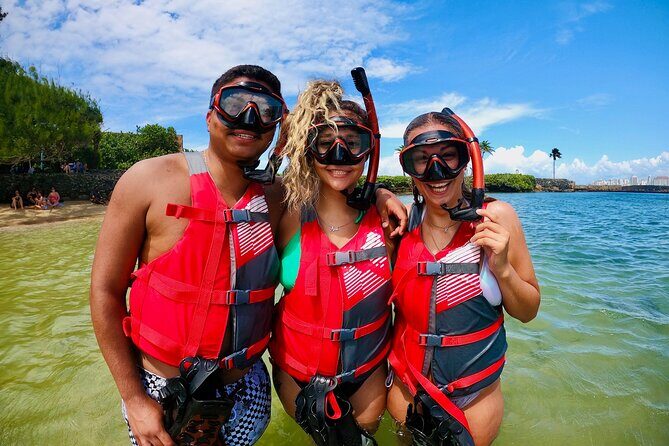 VIP San Juan: Snorkeling Tour with Turtles with Free Videos - Free Videos: The Best Souvenir Format for Sea Turtle Fans