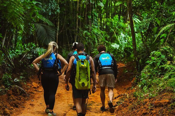 VIP Small Group El Yunque Rainforest Adventure - El Yunque National Forest: The 30-Minute Hike That Sets the Tone