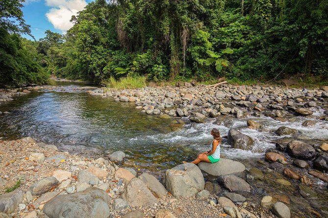Yunque Rainforest River Rope Swing with Waterslide and Beach Tour - Morning Logistics: Pickup, Mobile Ticket, and the 7:30 Start