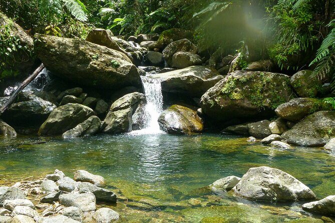 Yunque & Piñones Tour Hike Eat & Adventure with a Local; San Juan - Key Things That Make This Tour Worth It